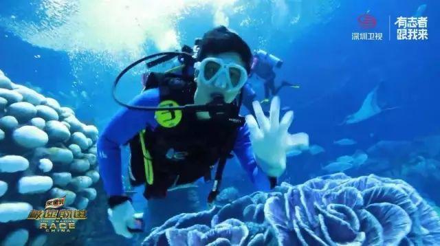青海乌兰:“岩壁上的精灵”崇山峻岭中飞奔 如履平地